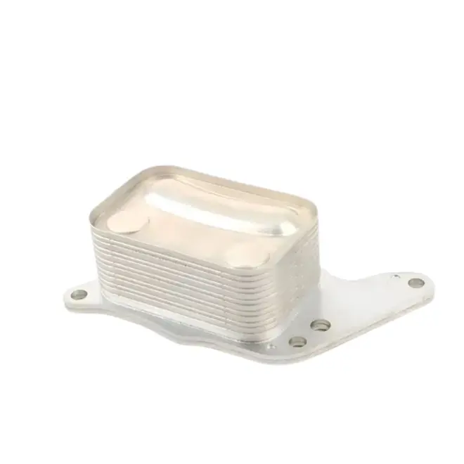 Radiador Trocador Calor Óleo Motor Mini Cooper 1.6 16V - Unitário