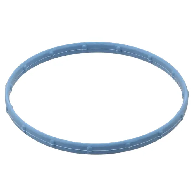 ANEL VEDACAO CORPO ACELERADOR FORD 3.0 24V TDV6 2022 A 2025 1X4Z9E936AA/SKU4927
