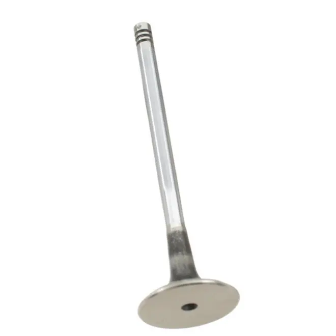 VALVULA ESCAPE  29,9X103,9X6 AUDI/VW A3/A4/A6/PASSAT 1.8/2.4/2.8 20V 1994 A 2005 058109611