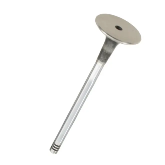 VALVULA ESCAPE  29,9X103,9X6 AUDI/VW A3/A4/A6/PASSAT 1.8/2.4/2.8 20V 1994 A 2005 058109611