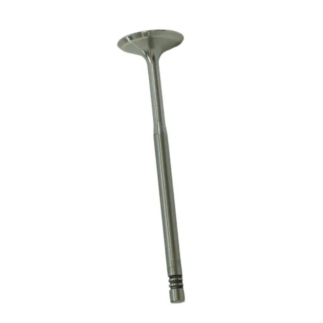VALVULA ADMISSÃƒO 26,9 X 105,1 X 6 CM AUDI/VW A3/A4/GOLF/PASSAT 1.8/2.4 16V/20V/3.0 24V 19