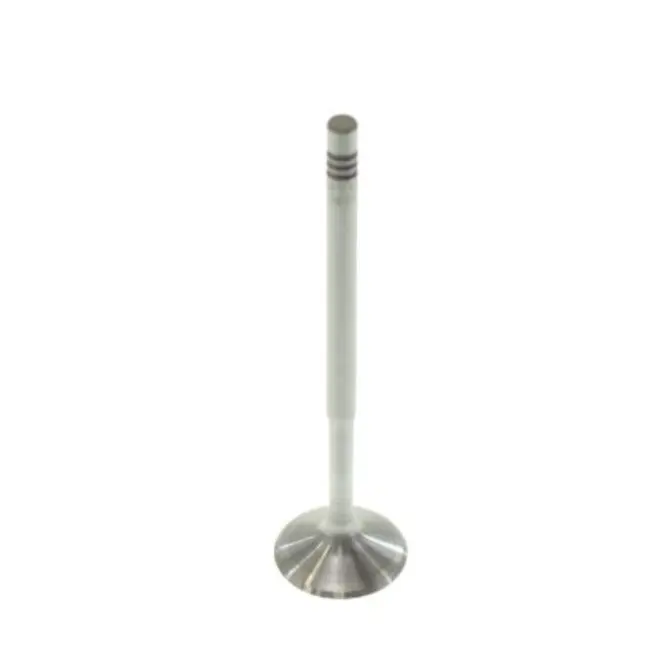 VALVULA ADMISSÃƒO 26,9 X 105,1 X 6 CM AUDI/VW A3/A4/GOLF/PASSAT 1.8/2.4 16V/20V/3.0 24V 19