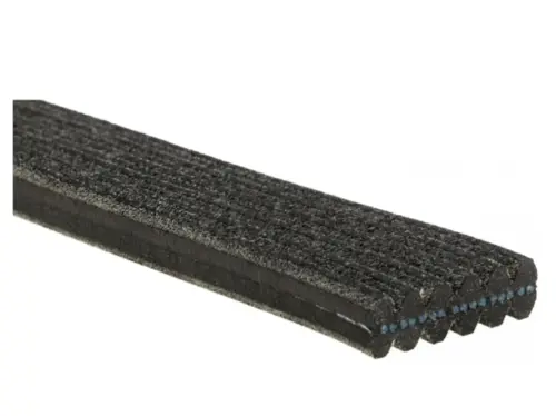 CORREIA POLY V AUDI A3 S3 VW GOLF 1.6 1.8 20V 1996 A 2009