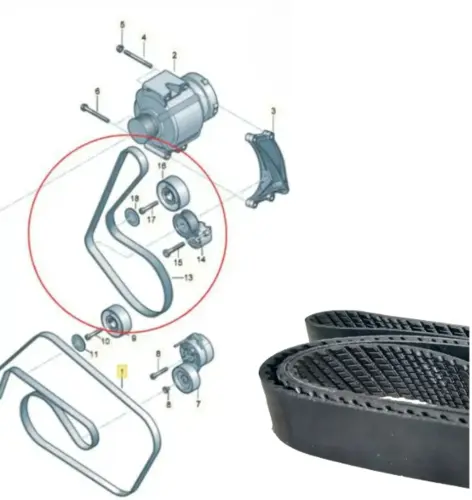 CORREIA POLY V ALTERNADOR AUDI Q7 3.0 24V 2011 A 2015