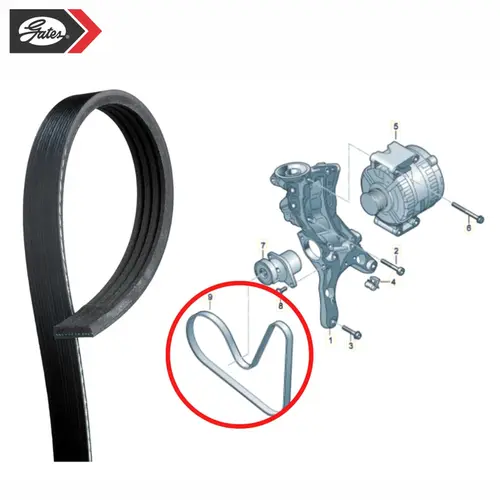 CORREIA POLY V AUDI 1.8 16V TFSI 2013 A 2017 06L903137A/SKU2528
