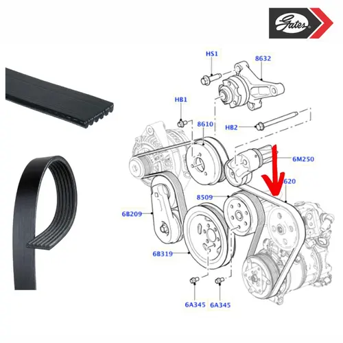 CORREIA POLY V LAND ROVER 2.7/3.0 24V TDV6 2009 A 2014 LR013697/SKU2562