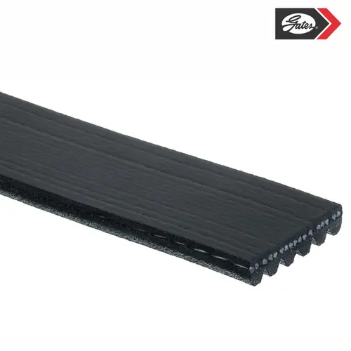 CORREIA POLY V LAND ROVER 2.7/3.0 24V TDV6 2009 A 2014 LR013697/SKU2562