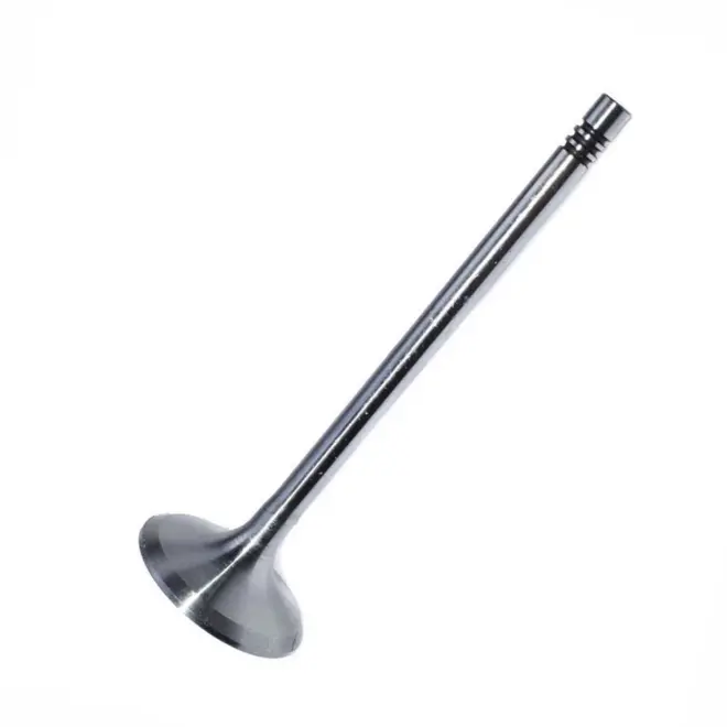 VALVULA ESC AUDI/VW 2.0 16V TFSI  101.9X28.1X6X3 06D109611H/SKU635